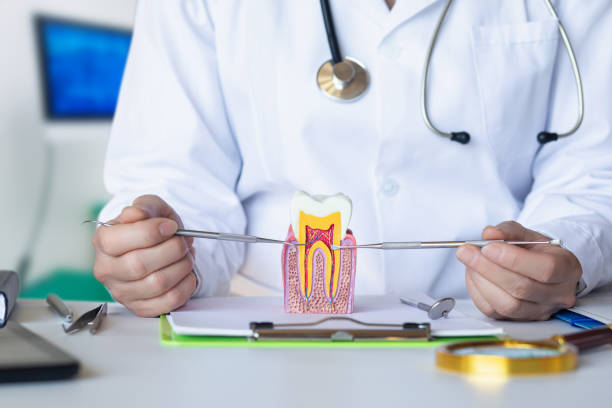 Best Chipped Tooth Repair Near Me  in Hollymead, VA